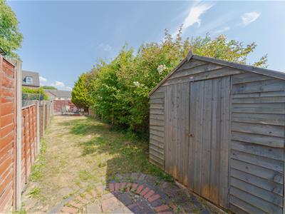 Picture 21